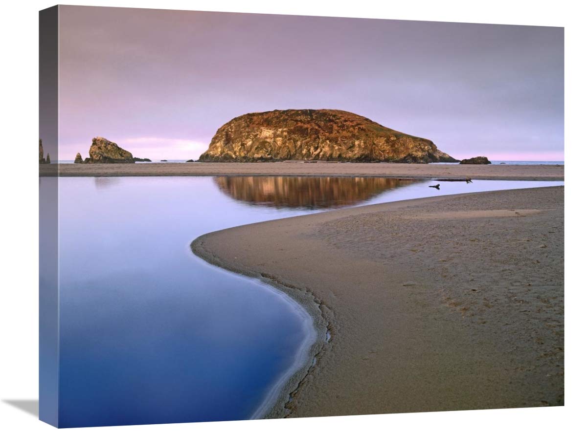 Global Gallery Harris Beach State Park, Oregon-Canvas Art-24 x20 