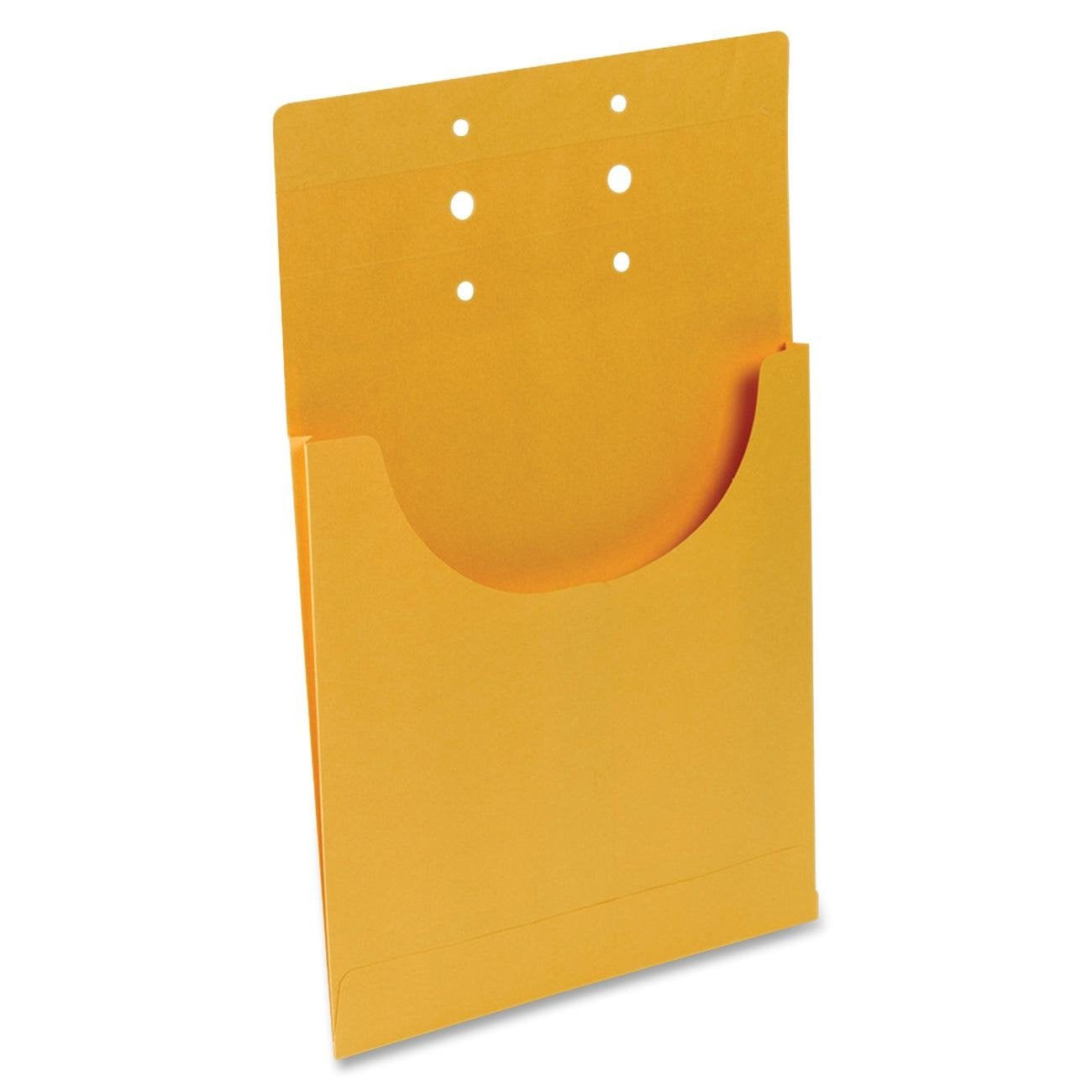 Business Source Kraft Classification Pocket