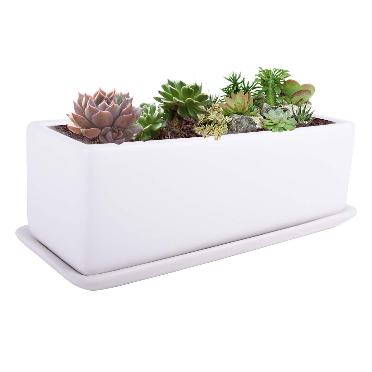 Vencer 12 Inch Rectangular Modern Minimalist Ceramic Succulent Planter Pot - Window Box With Saucer,Office Desktop Potted Stand,