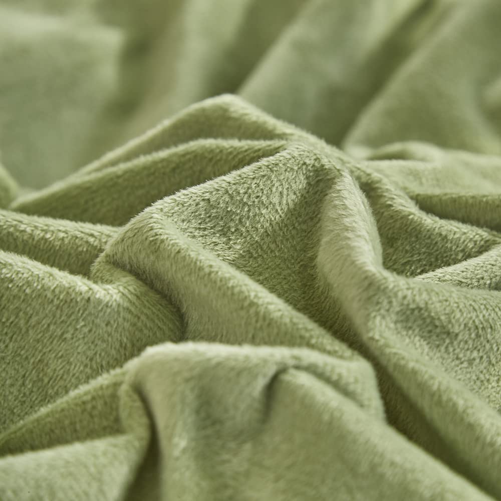 Clothknow Sage Green Comforter Sets California King 3Pcs Green Velvet Bedding Comforter Sets Fluffy Comforter Soft Light Green C