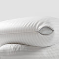 Niagara 2 Pack Queen Pillow Protectors With Zipper, Soft Quiet Cotton Sateen, Effective Dust Protection, Stay In Place Pillow Co