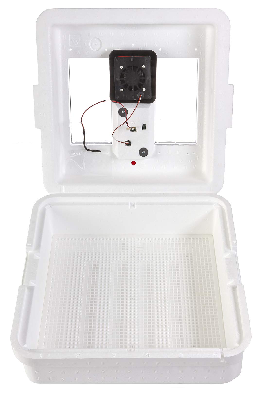 Little Giant Digital Still Air Incubator  41 Eggs  Egg Incubator With Temperature And Humidity Control  Chick Incubator