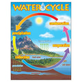 Trend Enterprises Inc Chart The Water Cycle