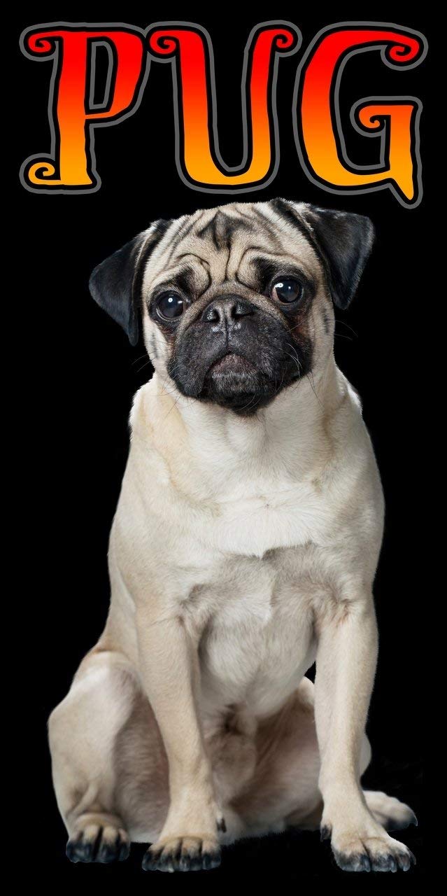 Island Gear Pug Beach Towel