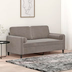 vidaXL Modern 2-Seater Light Gray Velvet Sofa with Pillows and Cushions, Sturdy Plywood and Metal Structure, Easy Assembly, Perfect for Home Decor