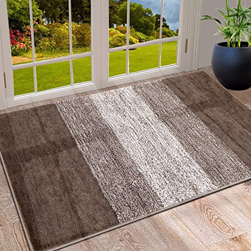 Vaukki Indoor Doormat Door Rug, Non Slip Absorbent Mud Trapper Low-Profile Inside Floor Mats, Soft Machine Washable Small Door C