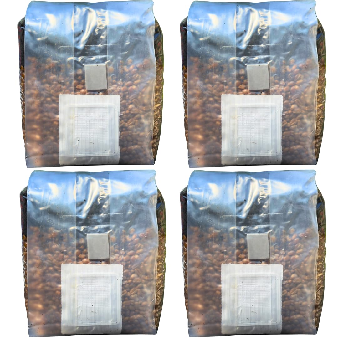 Mushroom Grow Kit - Magic All In One Mushroom Grow Bags - 4 Pack