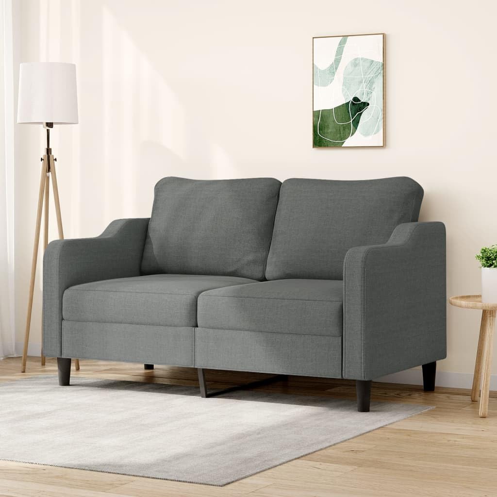 vidaXL 2-Seater Sofa in Dark Gray Fabric and Metal, Comfortably Padded, Chic Modern Design, Living Room or Office Furniture