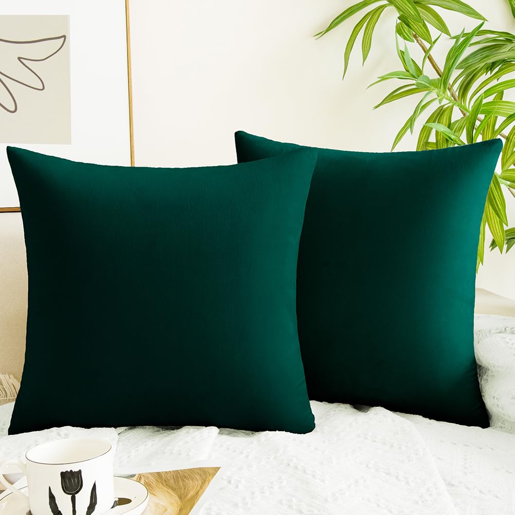 Quorgves Dark Green Throw Pillows Emerald Green Pillow Covers 20X20 Inch Pack Of 2 For Couch Living Room Bed Bedroom Soft Velvet