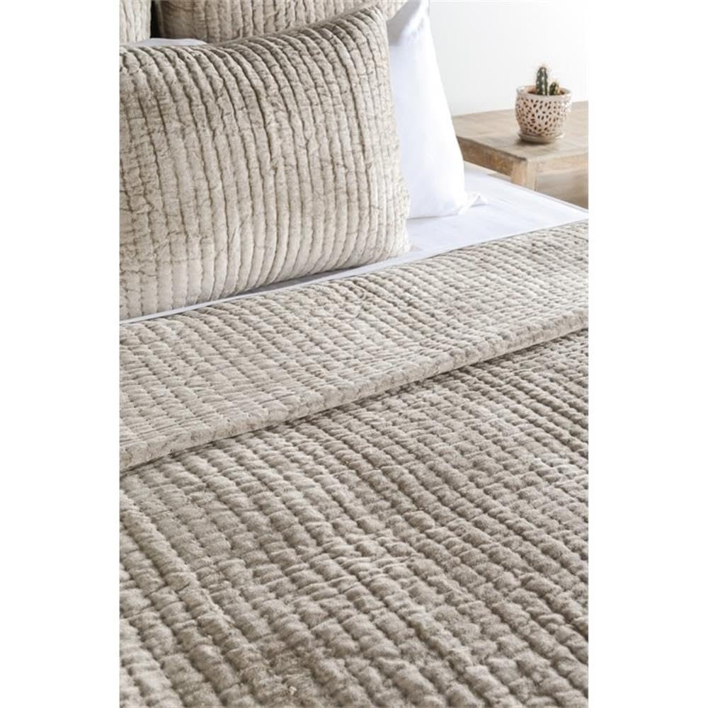 Kosas Home Dimitry 96X108 Rayon Velvet And Cotton Sateen King Quilt In Beige