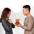 Plushland Stuffed Mocha Heart Bear - Plush Bear Toy For Kids & Adults - Embroidered Heart Pillow - Brown-6 Inches (Red Heart)