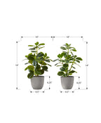 Monarch Specialties I 9558 Artificial Plant, 14' Tall, Ficus, Set of 2, Decorative, Green Leaves, Grey Pots