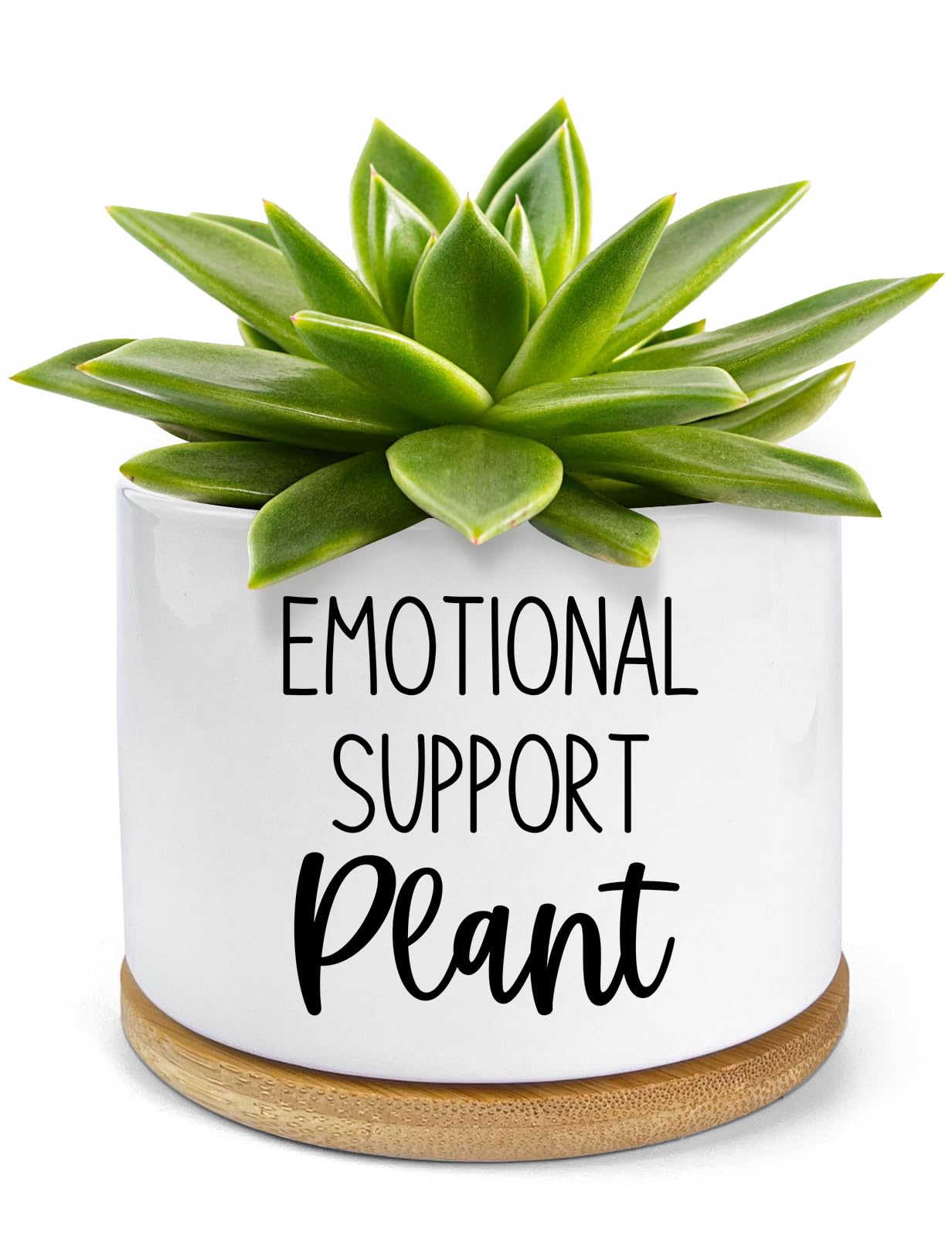Pwhingn Emotional Support Plant Pot - 3.5 Inch Ceramic Succulent Planter Pots, Funny Plant Pots Office Windowsill Aloe Vera Plan