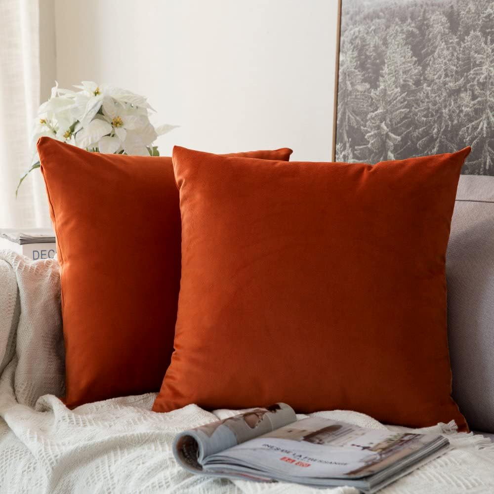Miulee Pack Of 2 Burnt Orange Pillow Covers 18X18 Inch Soft Velvet Fall Throw Pillow Covers Set Decorative Couch Throw Pillows S