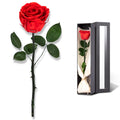 Mothers Day Rose Flower Gifts for Mom from Daughter and Son, Mom Gifts for Grandma, Unique Birthday Gifts for Women, Preserved R