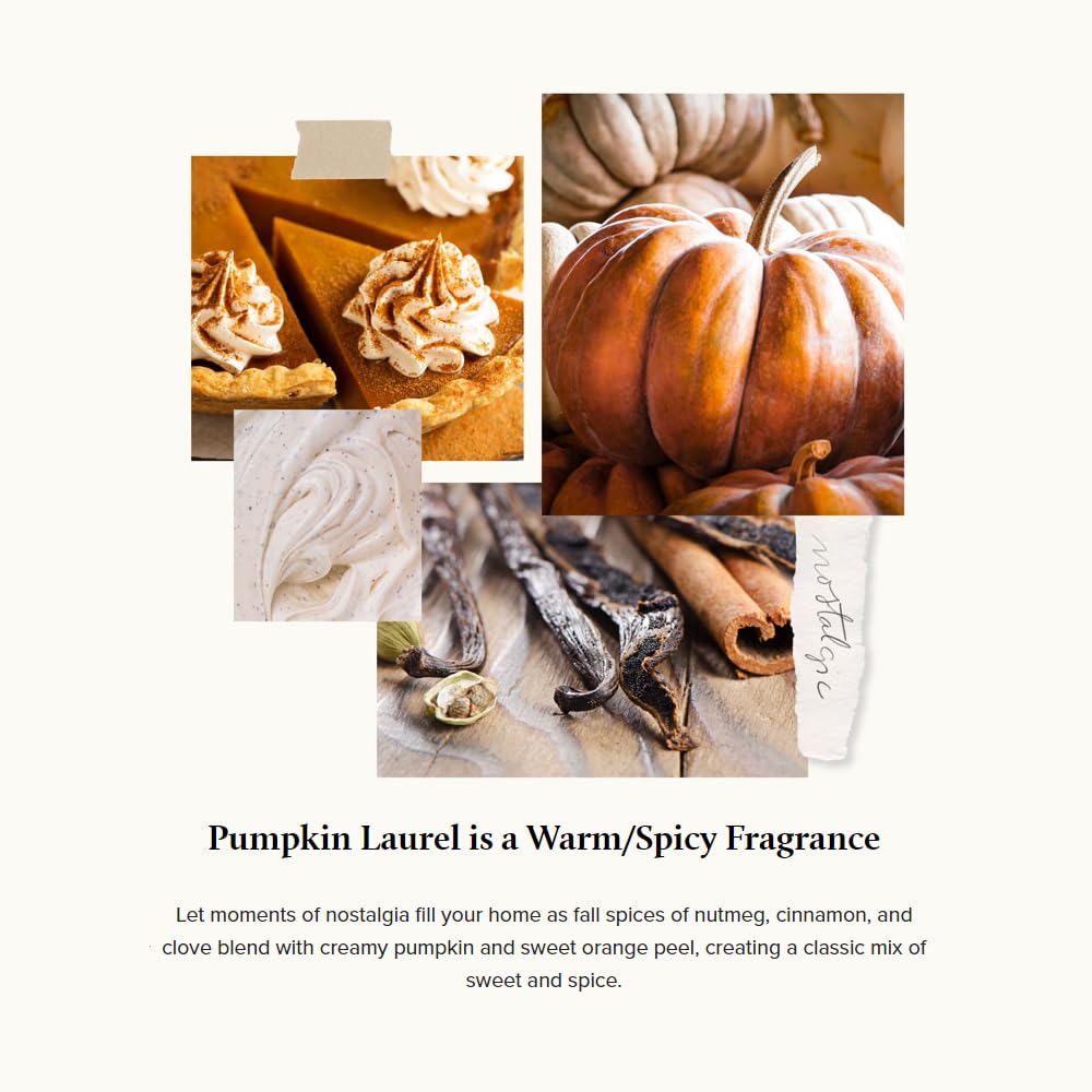 Thymes Pumpkin Laurel Candle Tin With Gold Lid - Fall Scented Candle With Notes Of Nutmeg, Cinnamon, Clove, Pumpkin, And Orange