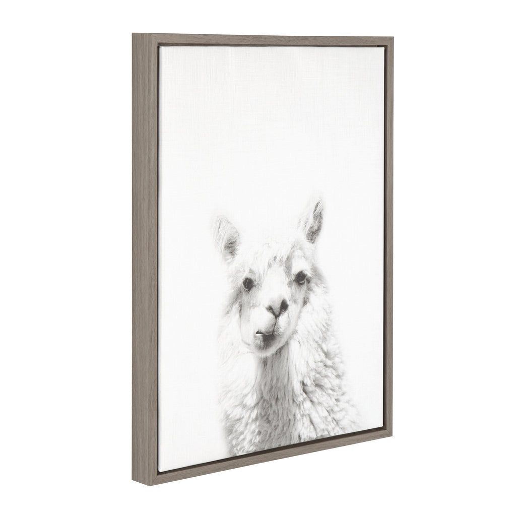 Sylvie Alpaca Framed Canvas by Simon Te of Tai Prints