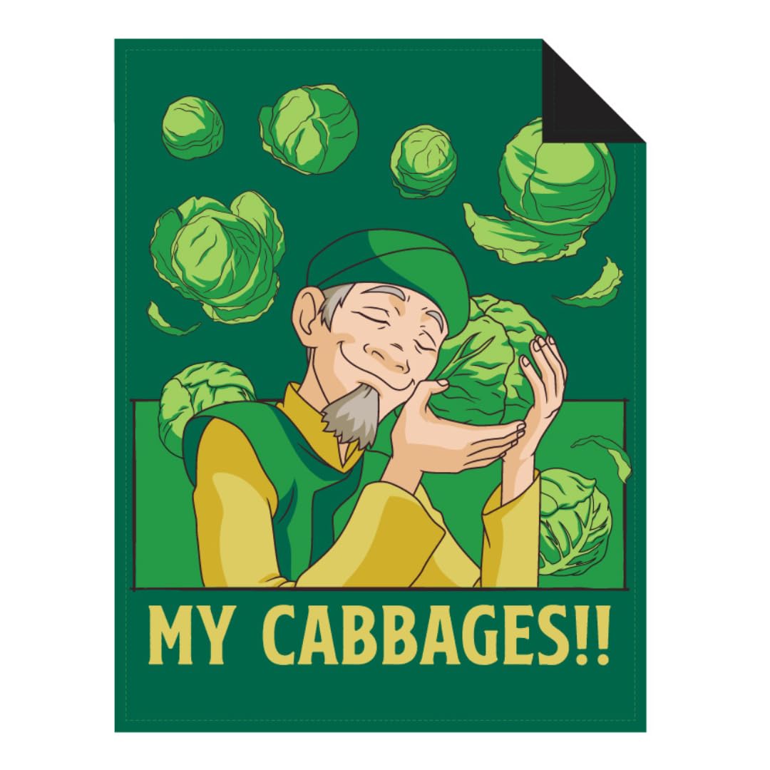 Franco Collectibles Avatar The Last Airbender Anime My Cabbages Bedding Super Soft Micro Raschel Throw, 46 In X 60 In, (Official