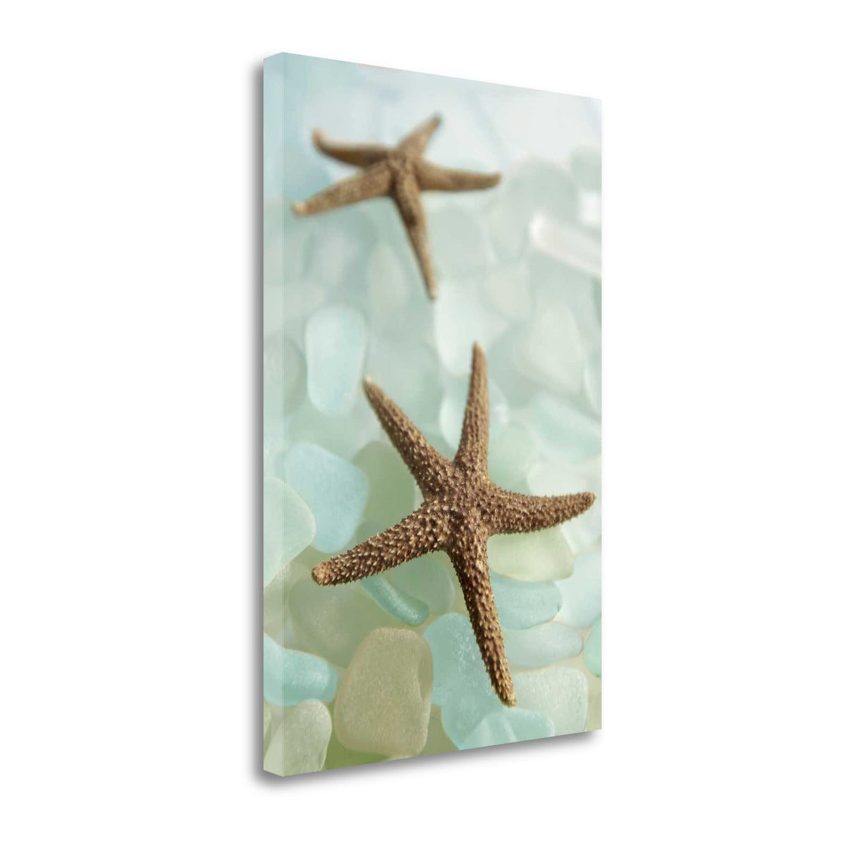 33' Two Brown Starfish and Blue Seaglass Giclee Wrap Canvas Wall Art