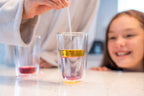 The Purple Cow Advents Crazy Scientist Advent Calendar - 2024 Countdown To Christmas For Kids Boys Girls Who Love Science. Game