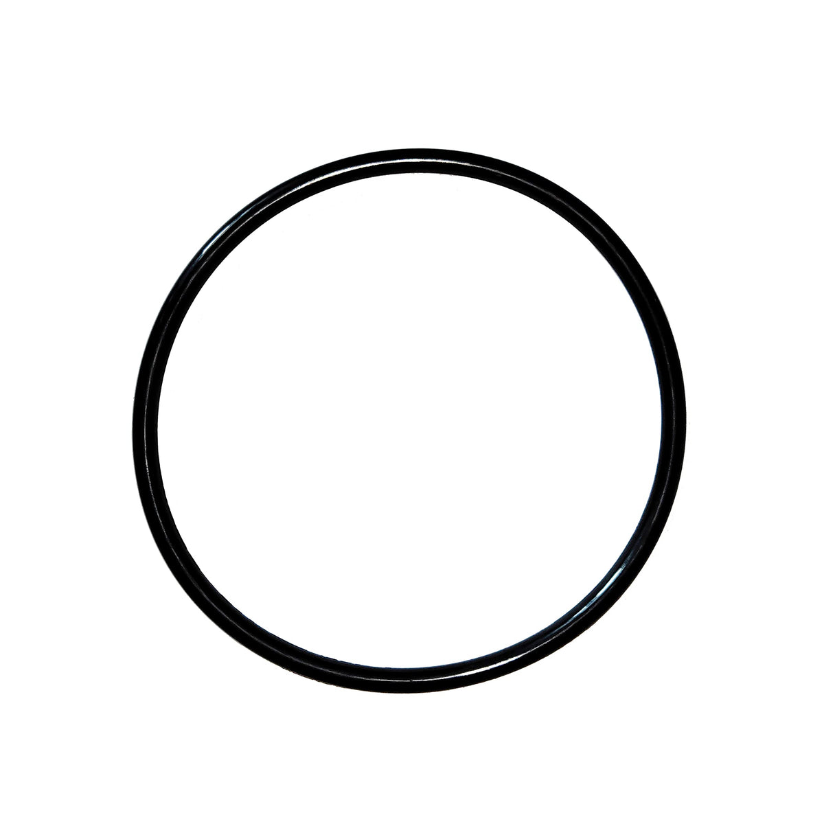 R172009 O-283 O-Ring Replacement For Pentair Model 320/322 Pool And Spa Chlorinator Lid