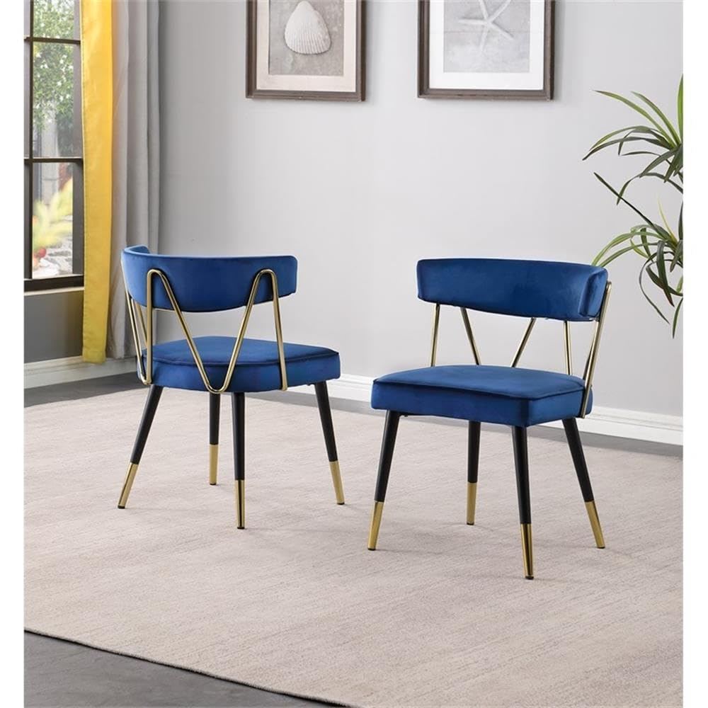 Best Master Furniture Meyer Velvet Side Chair with Gold Accents (Set of 2) Blue/Gold