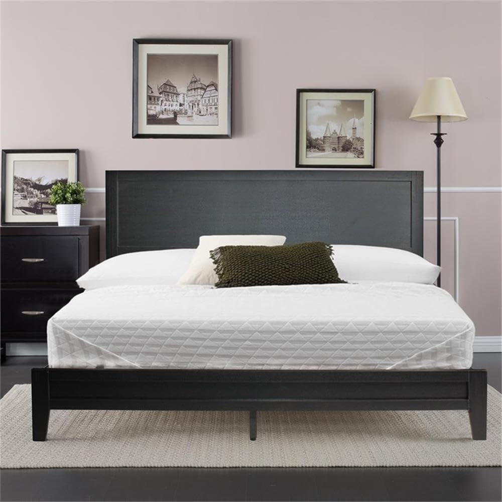 Better Home Products Fox Wood Panel Queen Platform Bed in Black