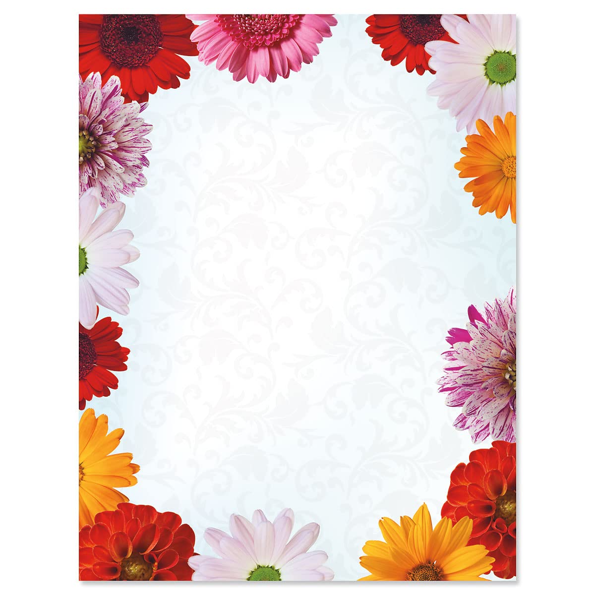 Current Daisy Floral Letter Paper - Spring Stationery Papers With Decorative Daisy Border, Printable Holiday, Wedding & Bridal S