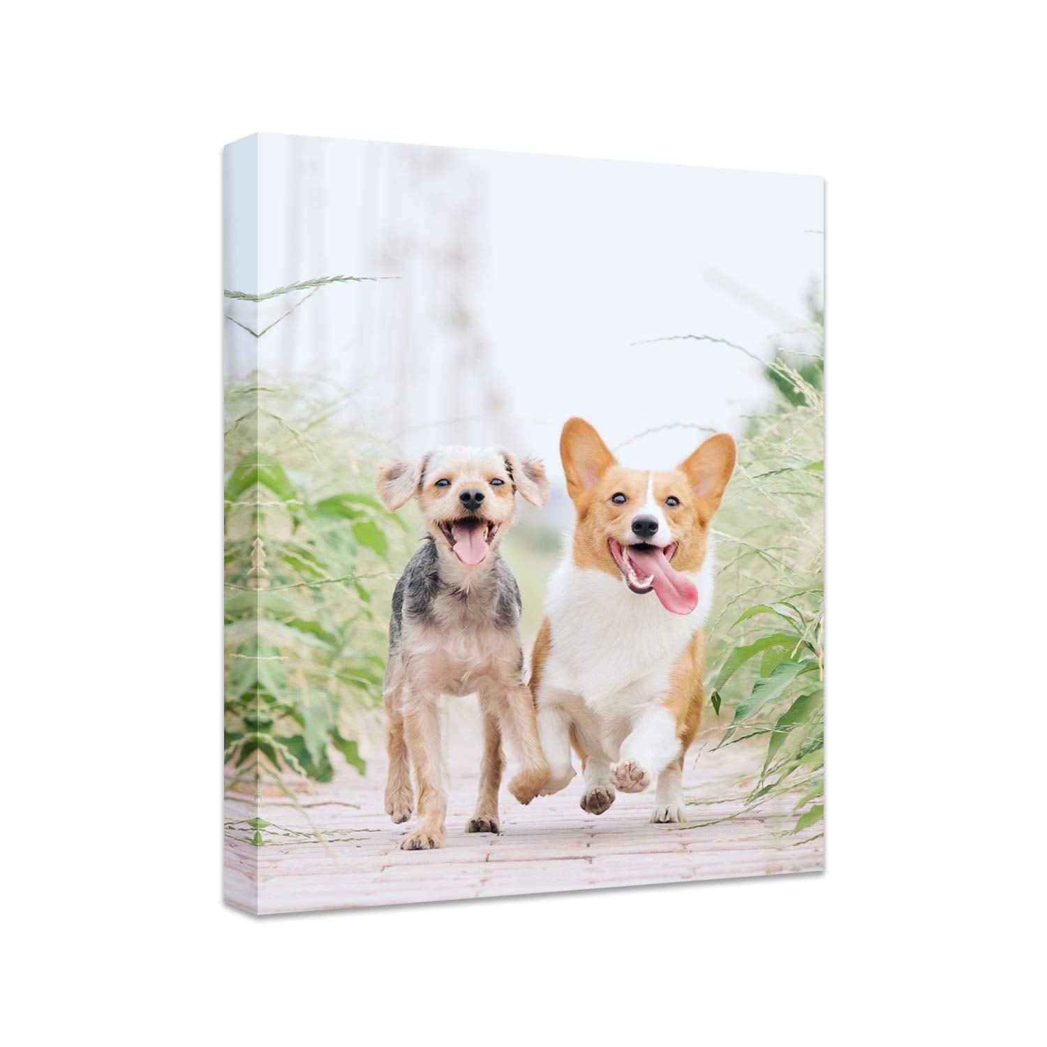 Personalized Photo to Canvas Print - Canvas Prints With Your Photos on Custom Wall Art for Bedroom, Living Room, Wedding Baby Pe