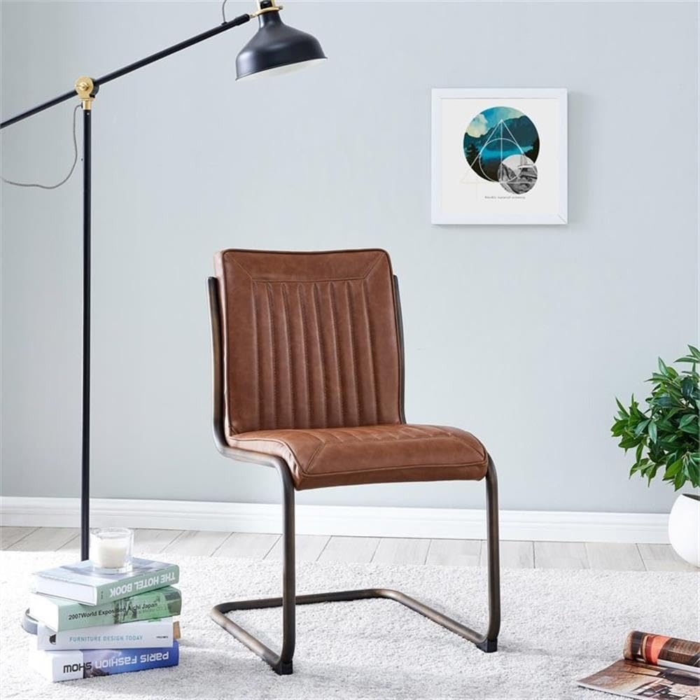 Npd Furniture And More Cooper Pu Rubber Gold Frame, (Set Of 2) Dining Chair, Brown