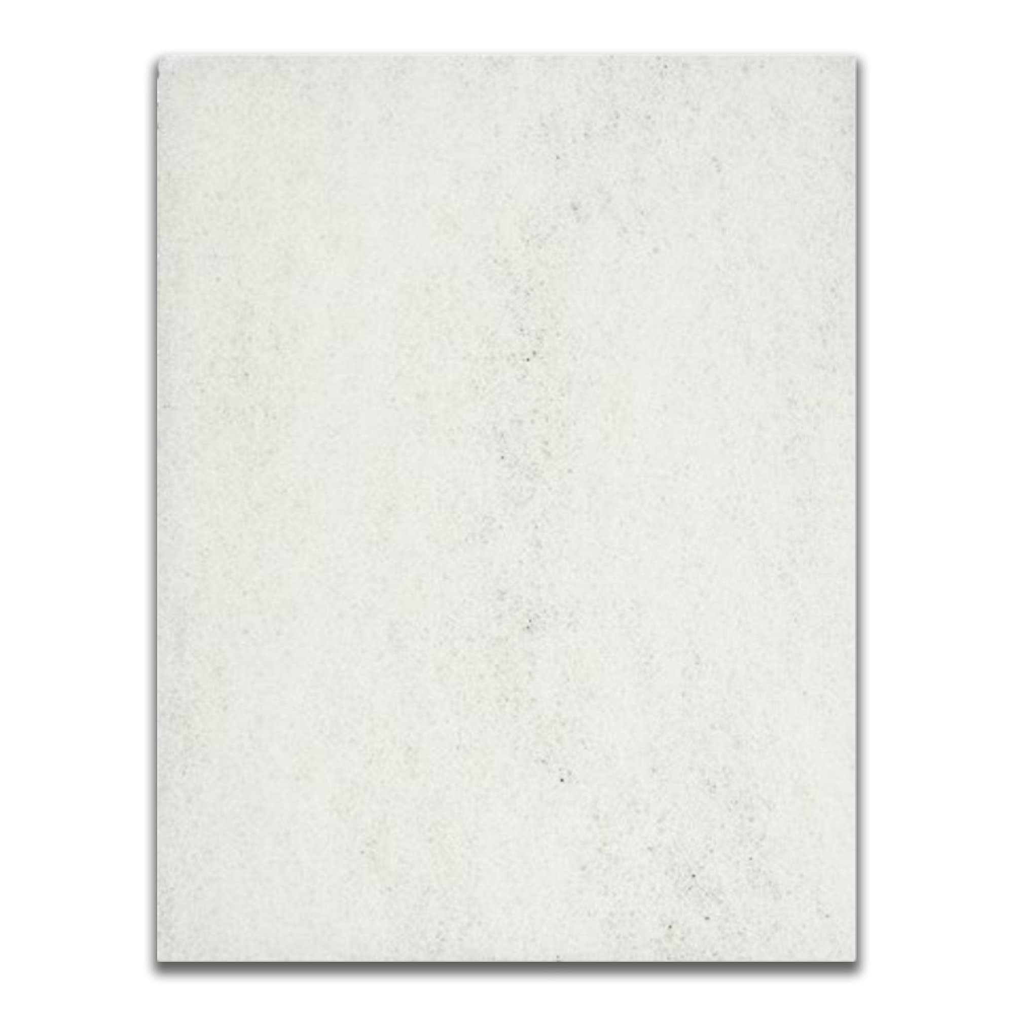 Savio Replacement Filter Mat For Standard Skimmerfilter - Rs020