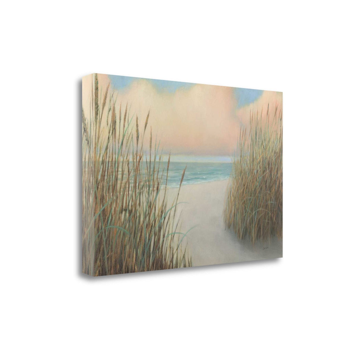 39' Natural Coastal Beach Trail Giclee Print on Gallery Wrap Canvas Wall Art