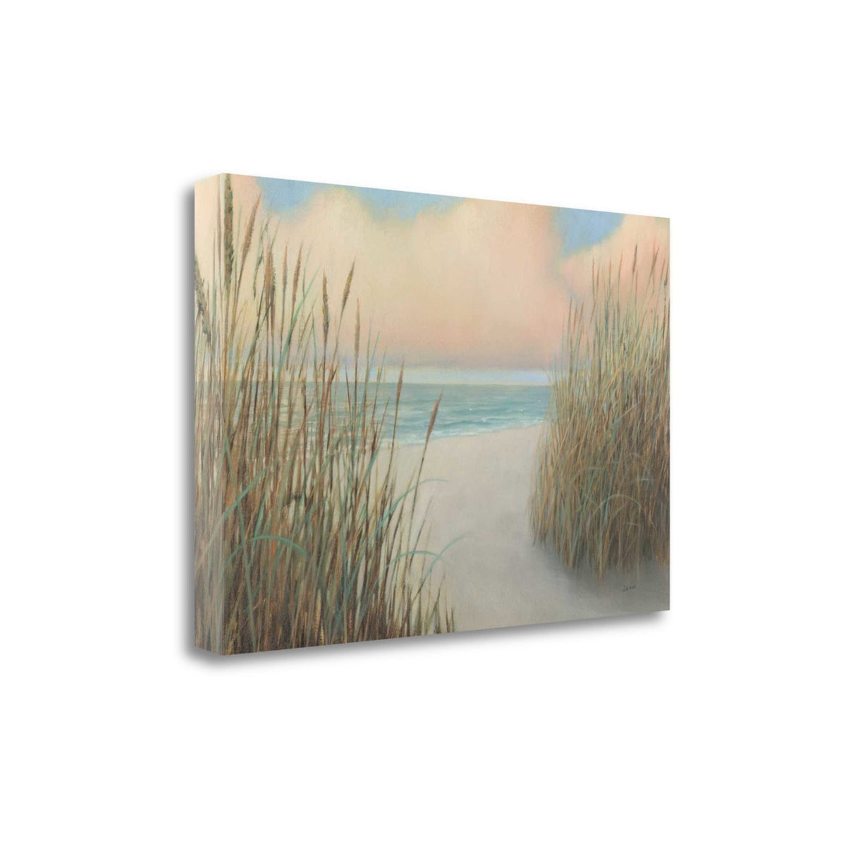 24' Natural Coastal Beach Trail Giclee Print on Gallery Wrap Canvas Wall Art