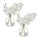 White Orchids Artificial Flowers Faux Orchid Arrangement with Clear Glass Vase Set of 2 Real Touch Phalaenopsis Orchid Flowers O