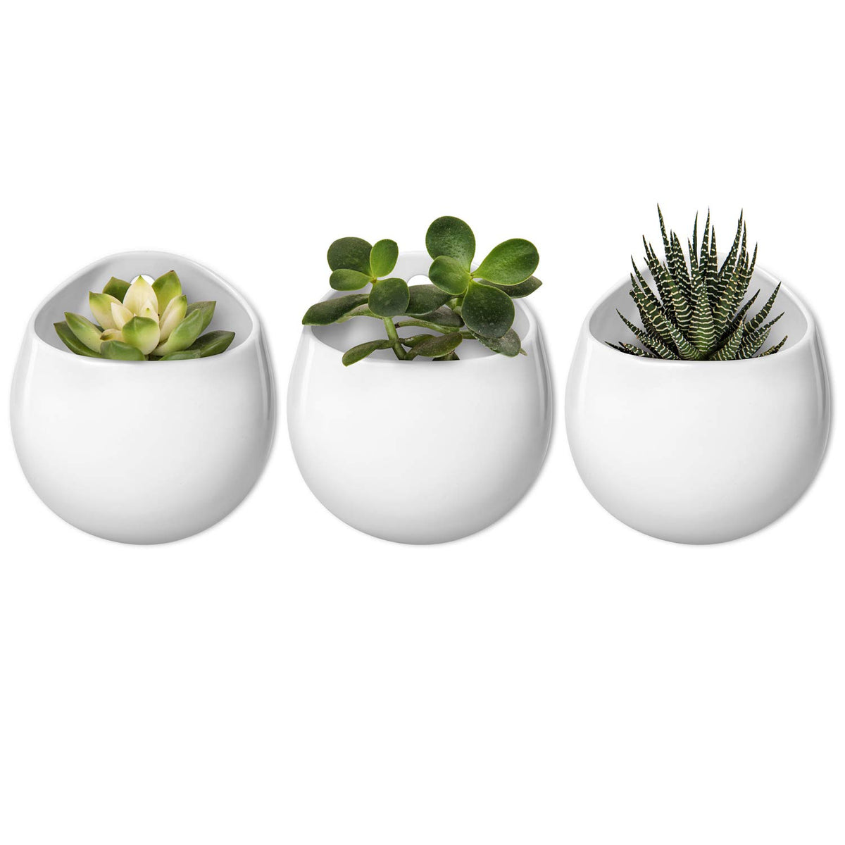 Mkono 4 Inch Wall Mounted Planter Round Ceramic Hanging Plant Holder Decorative Flower Display Vase Succulent Pots For Indoor Pl