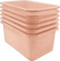 Teacher Created Resources Blush Small Plastic Storage Bin 6Pack (TCR2088584)