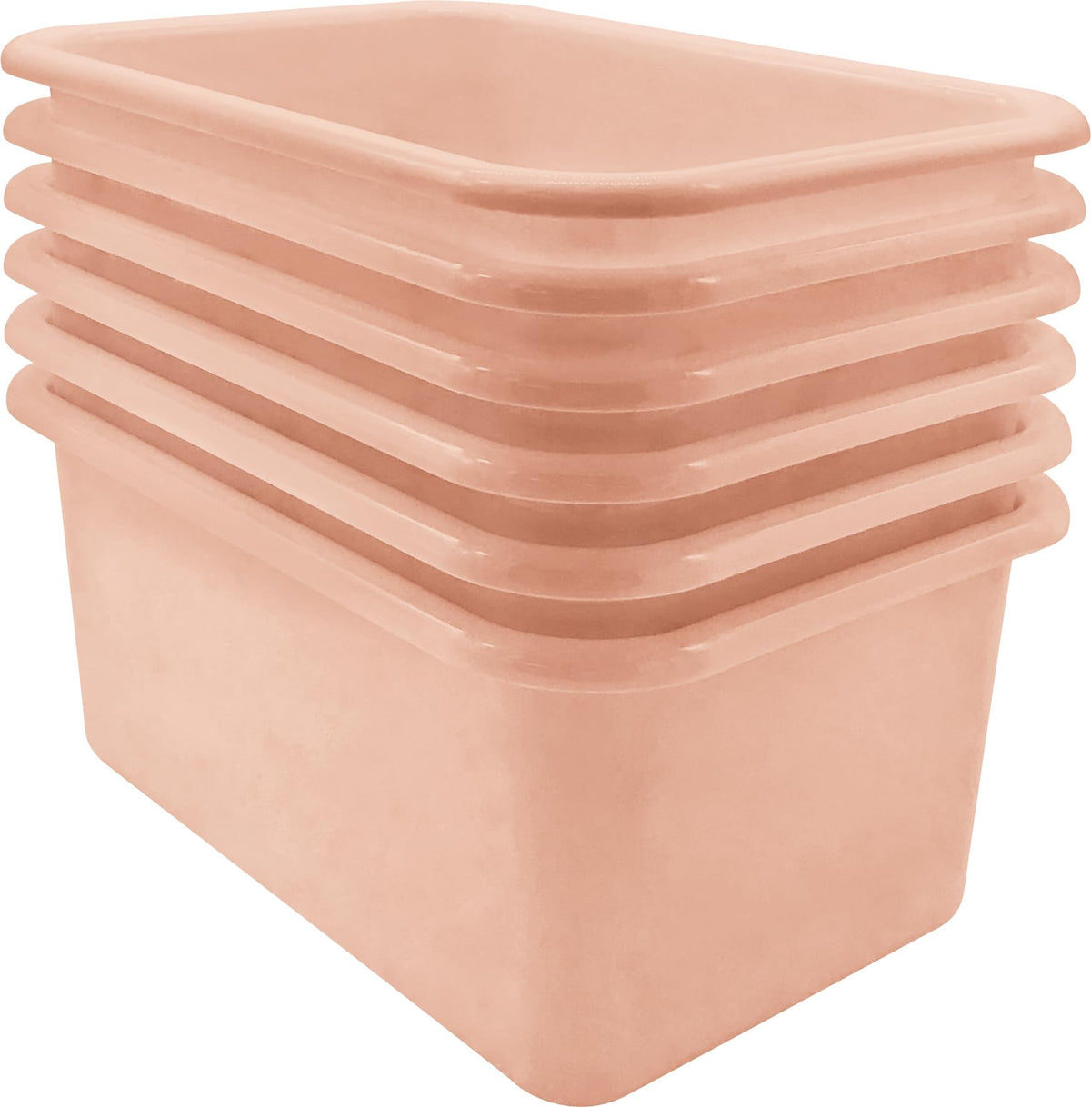Teacher Created Resources Blush Small Plastic Storage Bin 6Pack (TCR2088584)