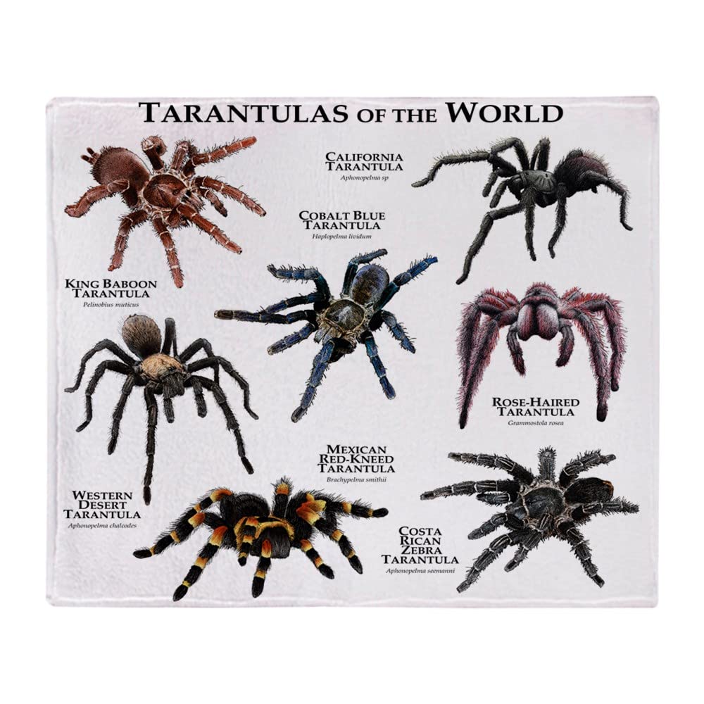 Cafepress Tarantulas Of The World Throw Blanket Super Soft Fleece Plush Throw Blanket, 60'X50'