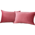 Jiahannha Velvet Pink Throw Pillow Covers 12X20 Inches Pack Of 2 Soft Decorative Square Cushion Covers For Couch Sofa Bed Living