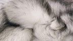 HomeRoots 5' X 6' Grey Ombre Faux Sheepskin Non Skid Area Rug
