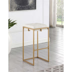 Coaster Home Furnishings Nadia Square Padded Seat Bar Stool (Set of 2) Beige and Gold