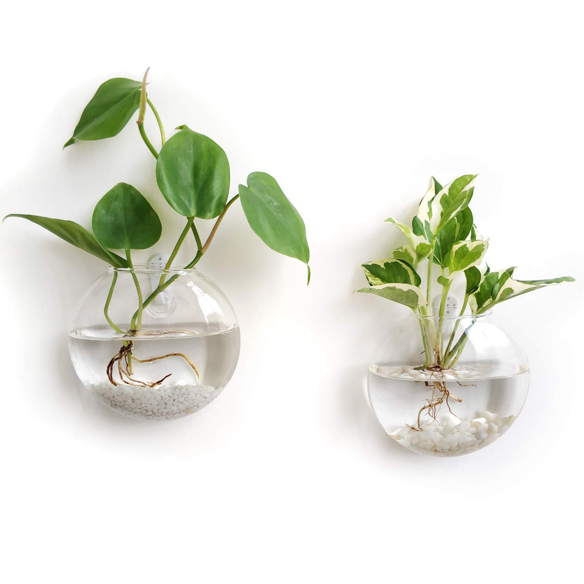 Mkono Wall Hanging Glass Terrariums Planter Oblate Flower Vase For Hydroponics Plants, Home Office Living Room Decor, Set Of 2
