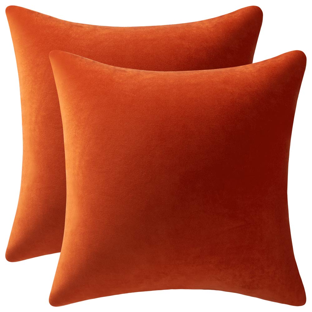 Dezene Fall Couch Pillow Cases 16X16 Burnt Orange: 2 Pack Cozy Soft Velvet Square Throw Pillow Covers For Farmhouse Home Decor