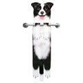 AGRIMONY Border Collie Dog Funny Hand Towels for Kitchen Bathroom - Dog Mom Gifts for Women Dog Dad Gifts for Men- Mothers Fathe
