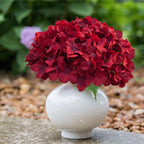 Cherica 20 Pcs Dark Red Hydrangea Artificial Flowers Bulk, Faux Hydrangea Flowers Heads, Artificial Fake Silk Hydrangea Flowers