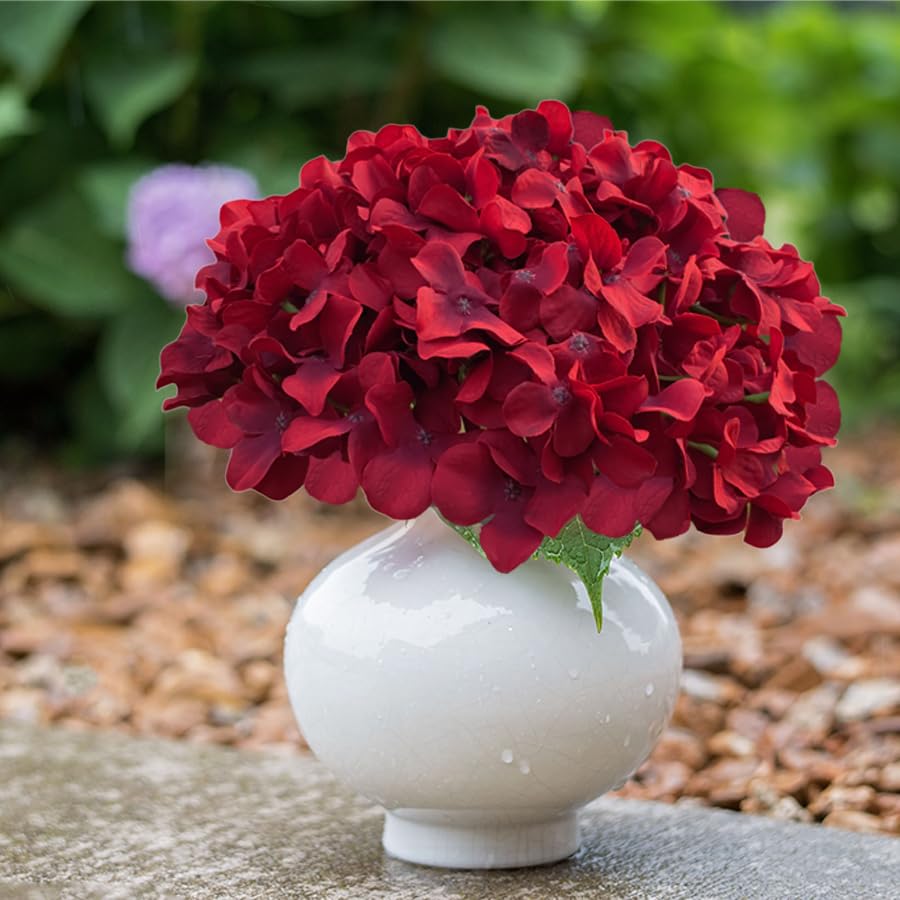 Cherica 20 Pcs Dark Red Hydrangea Artificial Flowers Bulk, Faux Hydrangea Flowers Heads, Artificial Fake Silk Hydrangea Flowers