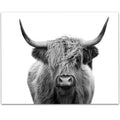 LSA Brand Highlands Cow Black and White - 11x14 Unframed Print - Great Gift and Decor for Farmhouse and Home Under $15