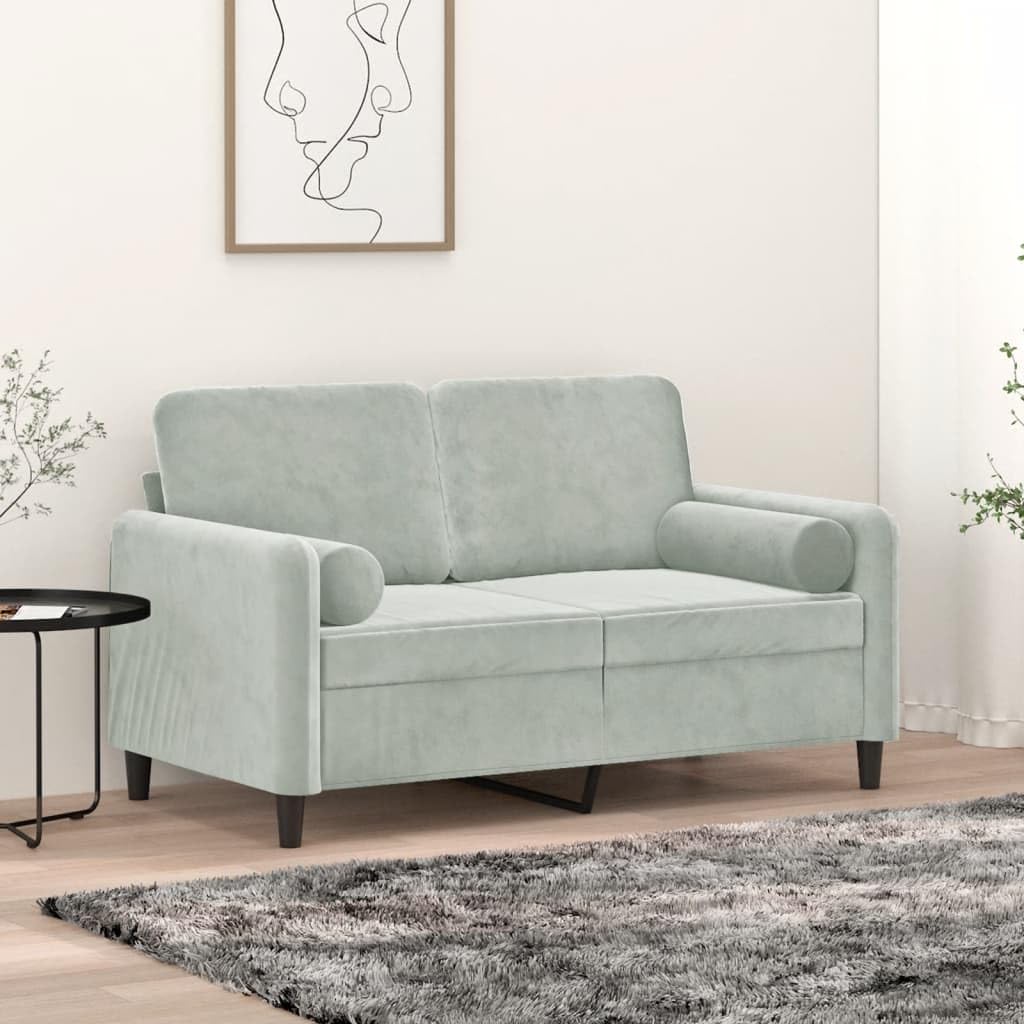 vidaXL Light Gray 2-Seater Velvet Sofa with Throw Pillows, Modern Design, Densely Piled Fabric, Sturdy Metal Frame, Easy to Clean