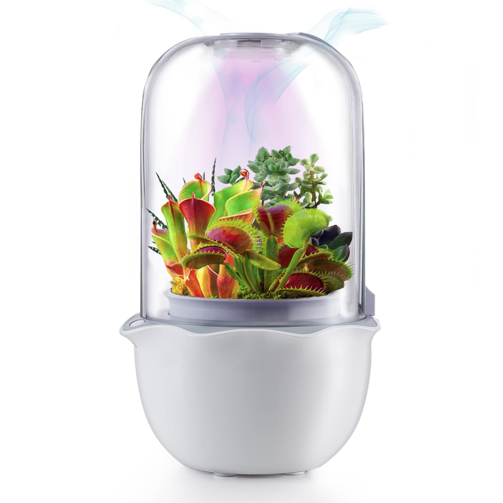 Smart Venus Fly Trap Terrarium Pot With Timer&Fan,Succulent Planter With Grow Light,Indoor Plant Pots Terrarium With Drainage Ho