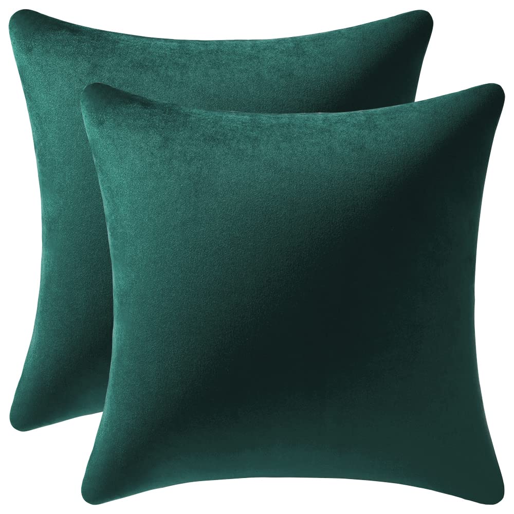 Dezene Decorative Pillow Covers 16X16 Green: 2 Pack Cozy Soft Velvet Square Throw Pillow Cases For Farmhouse Home Decor
